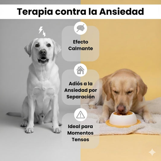 CalmiBowl™ – Tazón Lambedor Antiansiedad para Perros y Gatos